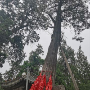 評論圖片 8