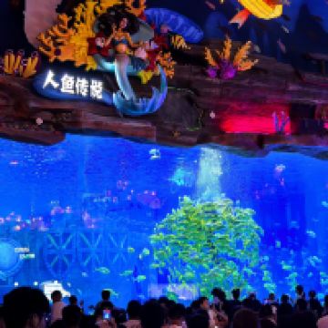 評論圖片 9