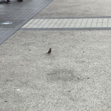 評論圖片 5