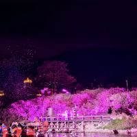 評論圖片 1
