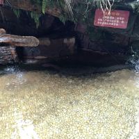評論圖片 8