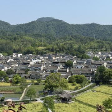 評論圖片 4