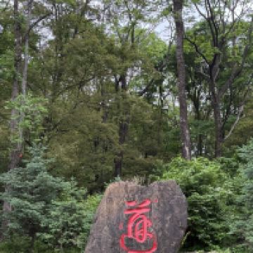 評論圖片 2