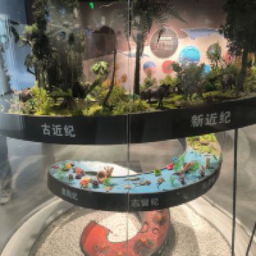 評論圖片 1