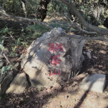 評論圖片 9