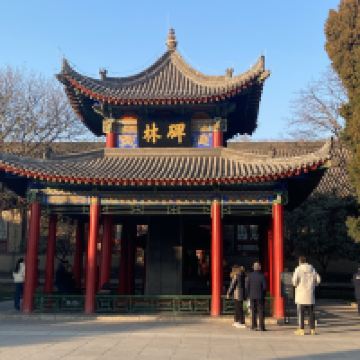 評論圖片 7