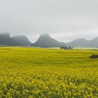 評論圖片 5