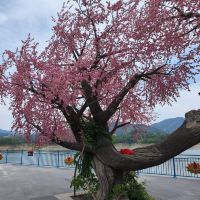 評論圖片 3