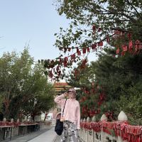 評論圖片 7