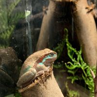 評論圖片 4