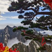 評論圖片 6