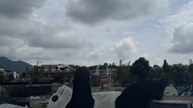 review picture