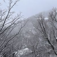 評論圖片 1