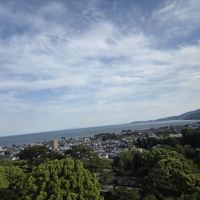 評論圖片 1