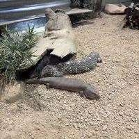 評論圖片 7