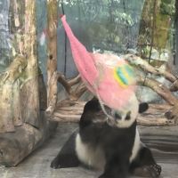 評論圖片 1
