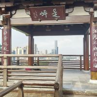 評論圖片 1