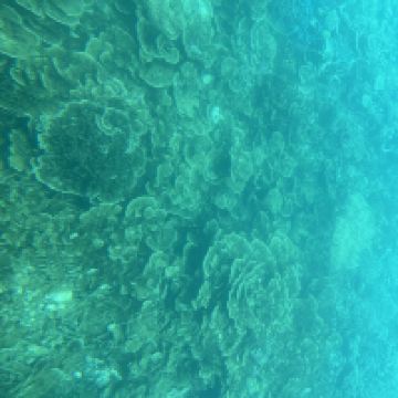 評論圖片 4