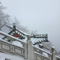 評論圖片 3