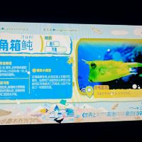評論圖片 4