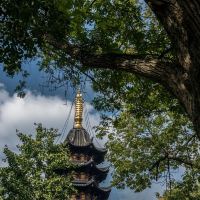 評論圖片 1
