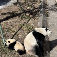 評論圖片 2