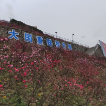 評論圖片 7