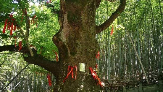 五磊山，目前已经免门票了。有两个大门，山脚下大门，可以徒步上