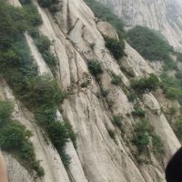 評論圖片 7