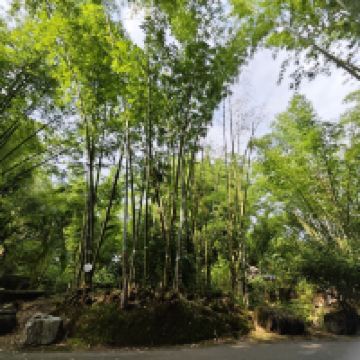 評論圖片 5