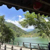 評論圖片 7