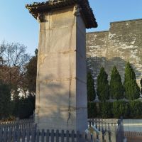 評論圖片 6