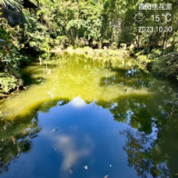 評論圖片 7