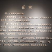 評論圖片 1