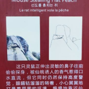 評論圖片 1