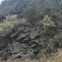 評論圖片 5