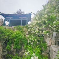 評論圖片 2