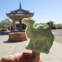 評論圖片 4