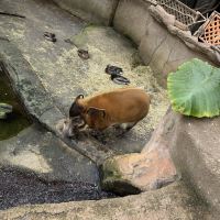 評論圖片 5