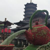 評論圖片 5