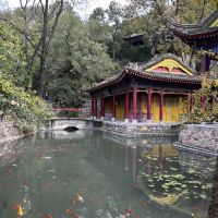 評論圖片 4