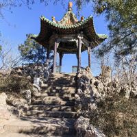 評論圖片 1