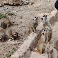 評論圖片 2