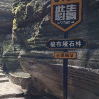 評論圖片 6
