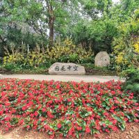 評論圖片 4