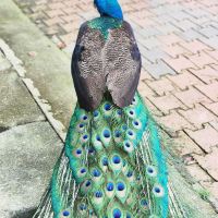 評論圖片 3