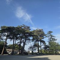 評論圖片 3
