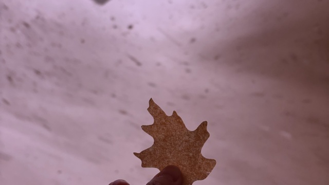 review picture