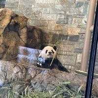 評論圖片 2