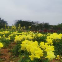 評論圖片 6